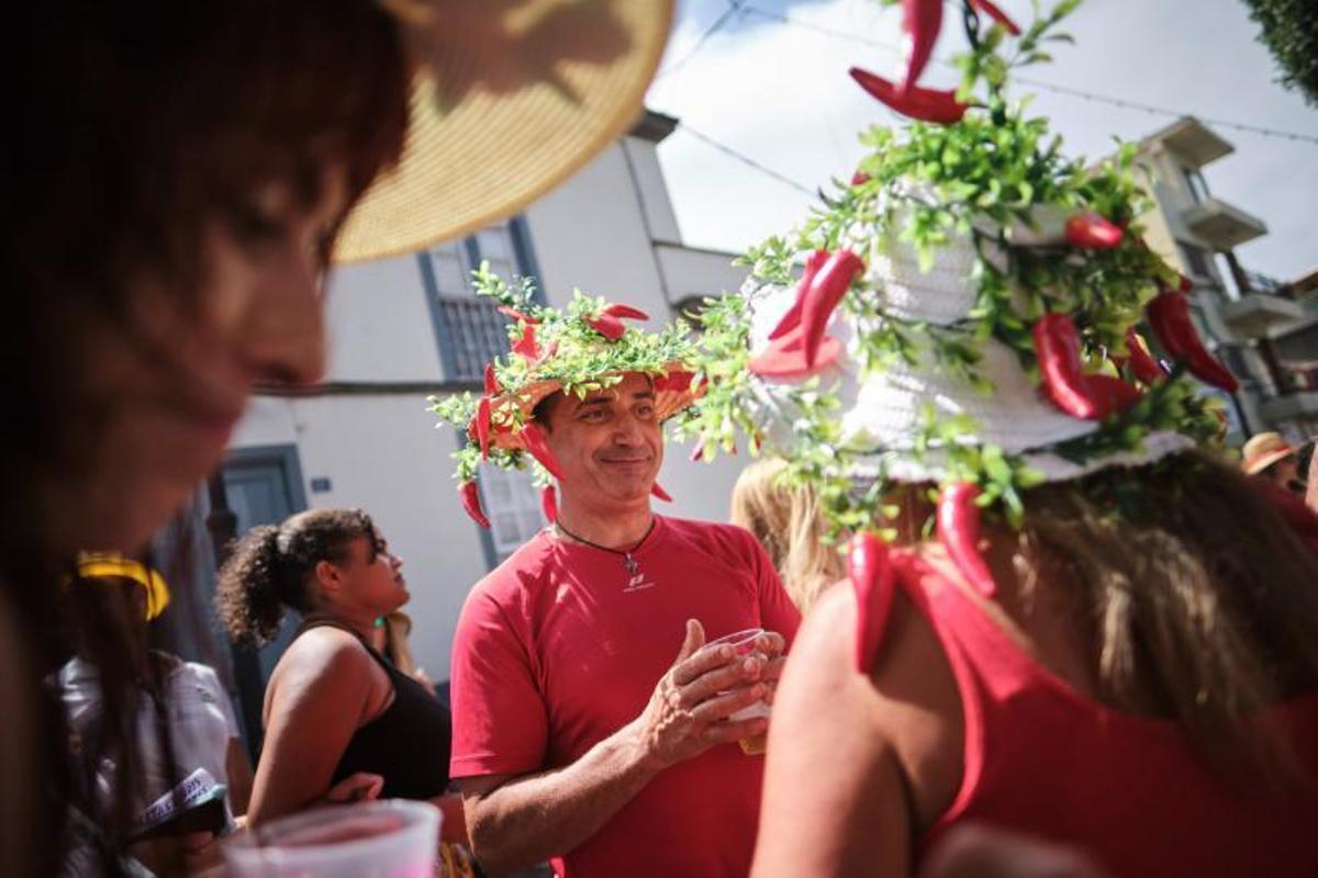 La verbena de la Pamela (Tejina)