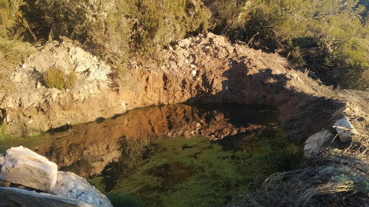 Así era la plantación &quot;paramilitar&quot; de marihuana hallada en Peque por los cazadores