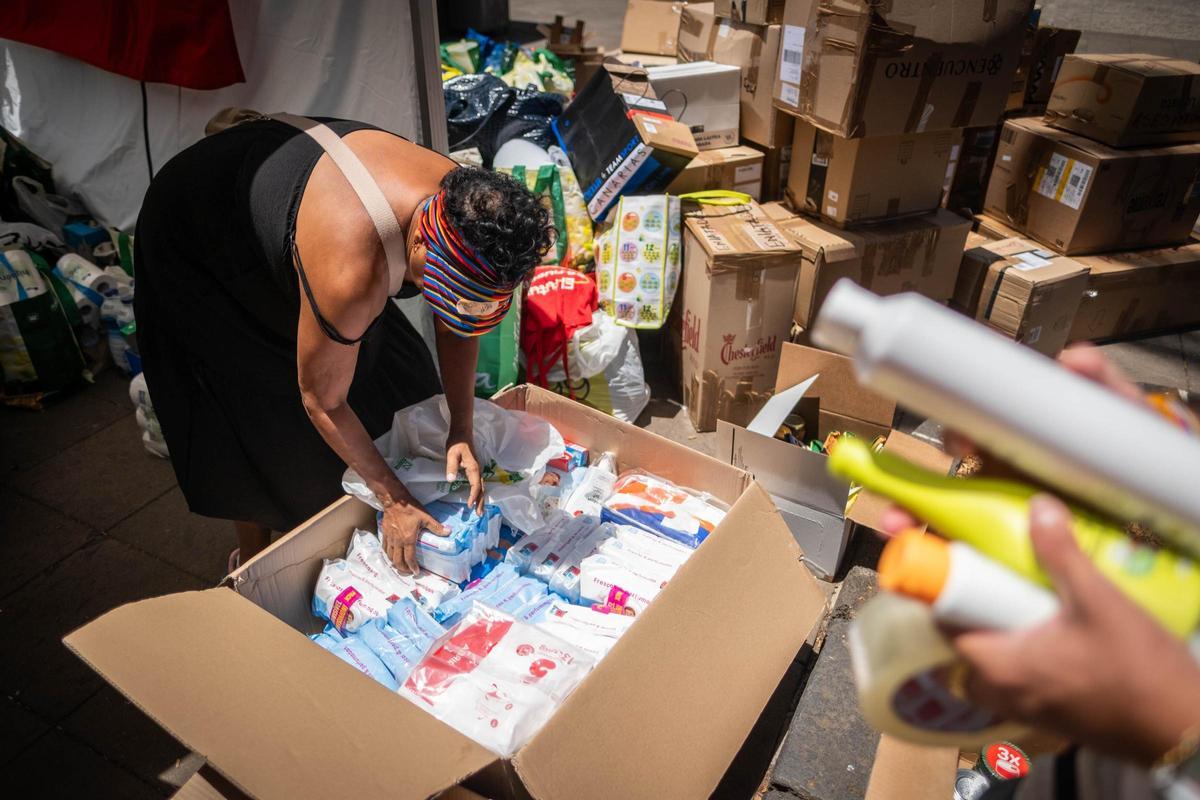 Recogida de alimentos y medicamentos en La Laguna