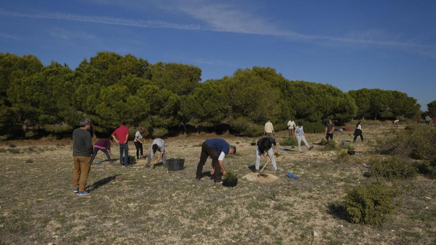 El IES Mare Nostrum introduce especies autóctonas en el parque natural