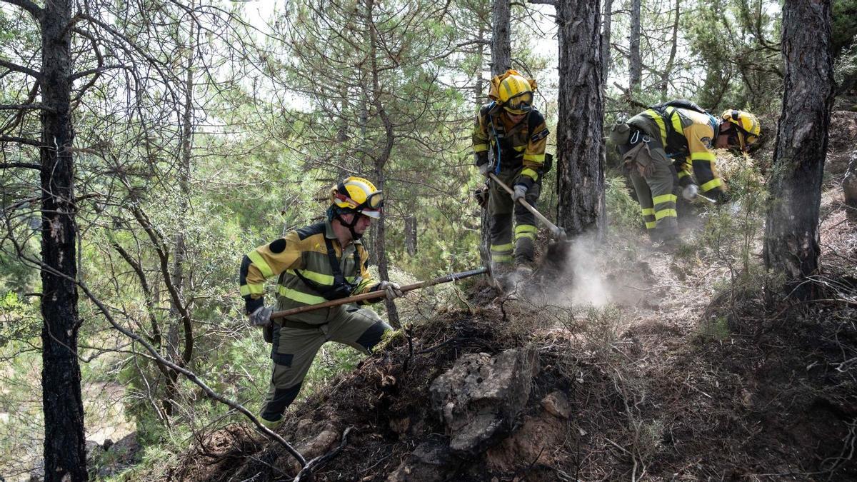 Un grupo de bomberos forestales ataca a las llamas en el pasado incendio de La Cerollera.