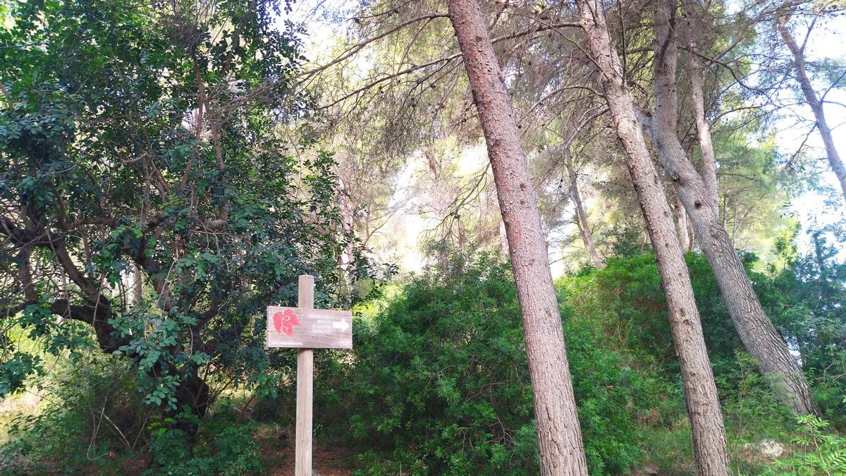 Cartel que indica el inicio de la senda que le da la vuelta al bosque