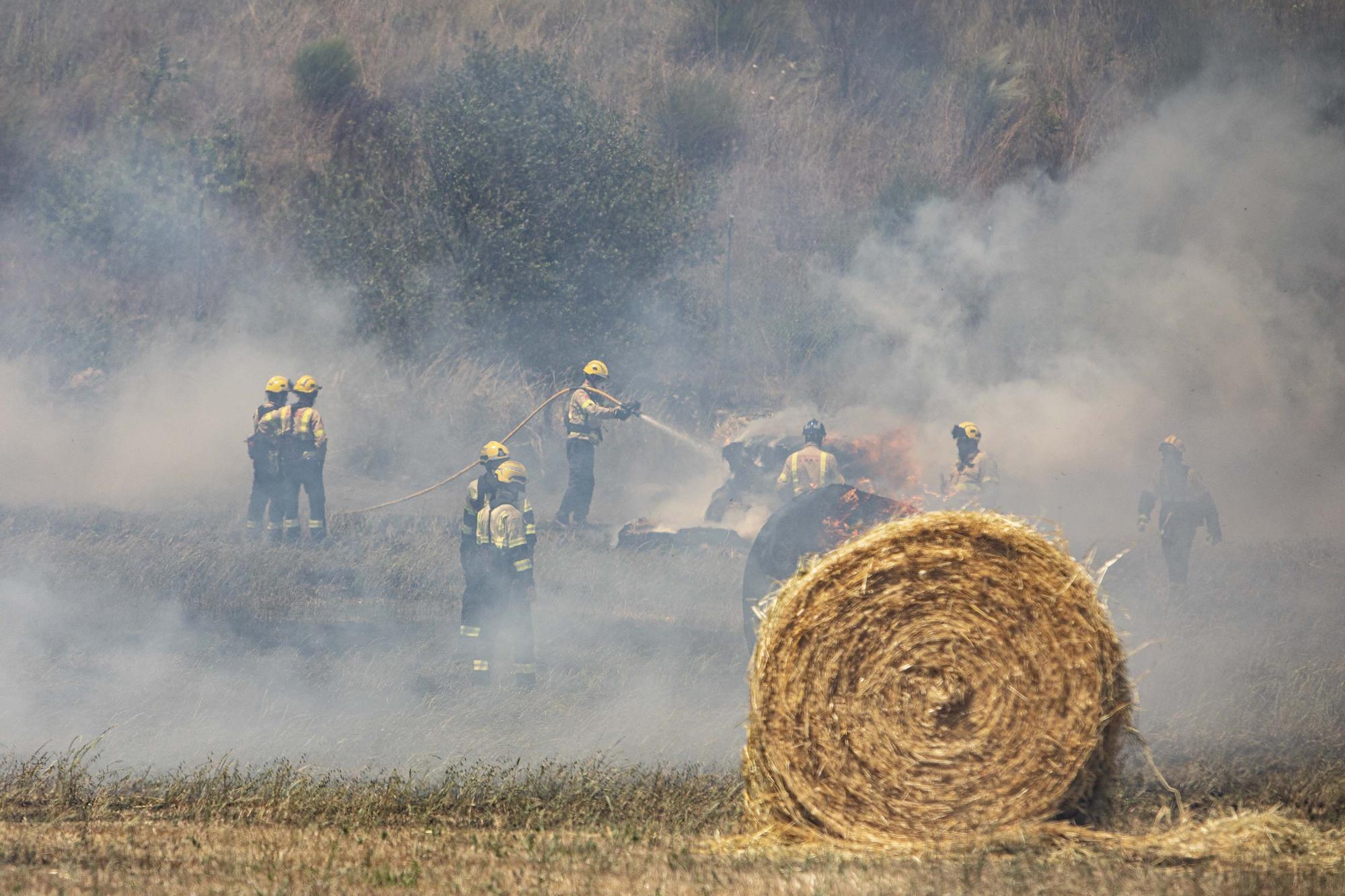 Incendi forestal a Sils, en fotos