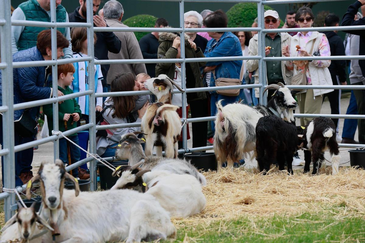 La feria de San Isidro, en imágenes