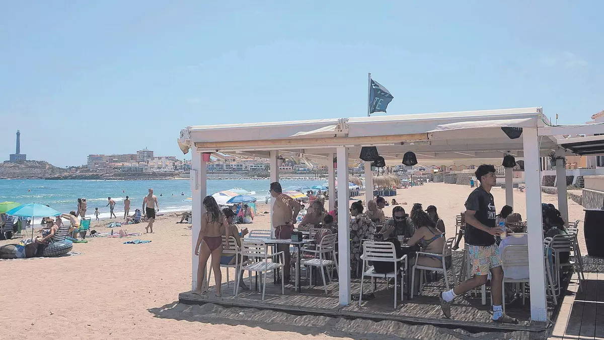 Un duro trabajo con vistas al mar y rodeado de cañas y marineras