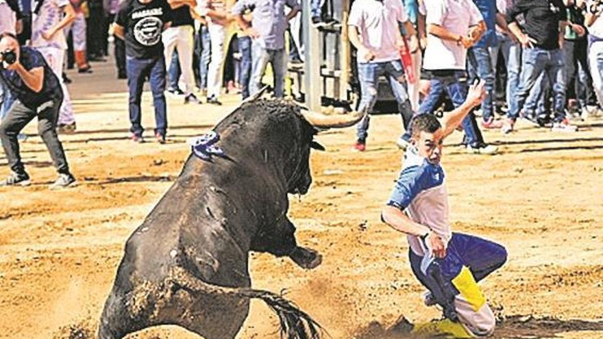 Primer encierro limpio con toros nobles de Couto de Fornilhos