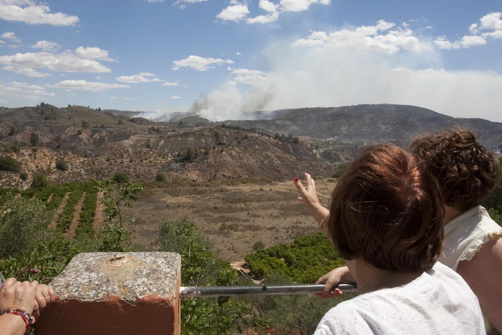 El fuego en los términos de Anna, Chella y Bolbait