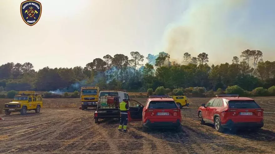 VÍDEO | Un incendio arrasa 12,5 hectáreas de terreno forestal y agrícola en Muro
