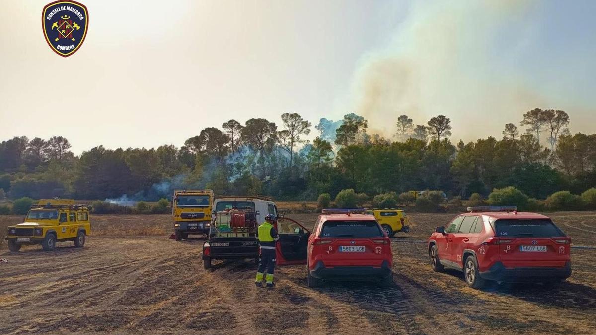 Dotaciones de bomberos, en el incendio forestal.