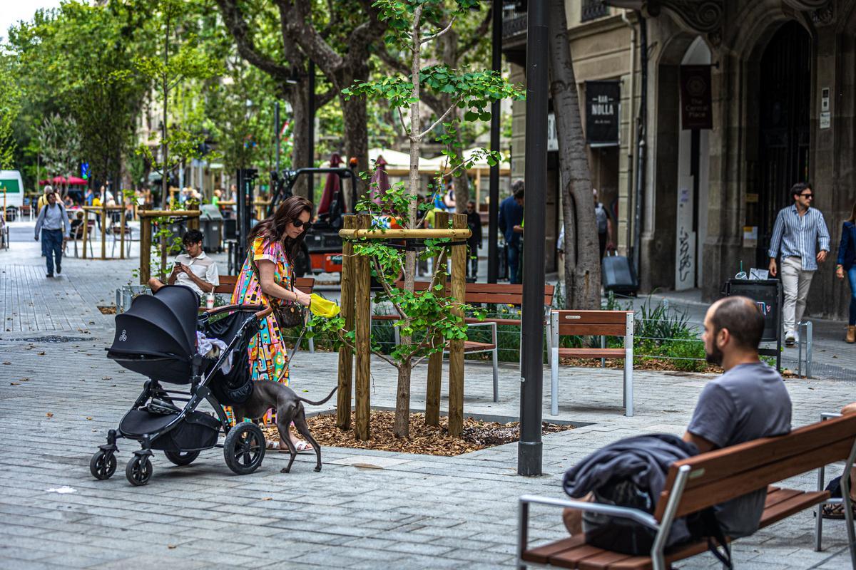 Escenas inesperadas de la Superilla del Eixample