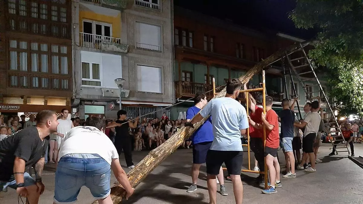 Los solteros plantan por San Juan en la Pola uno de los álamos más veloces de la historia: en apenas un cuarto de hora y sin incidencias