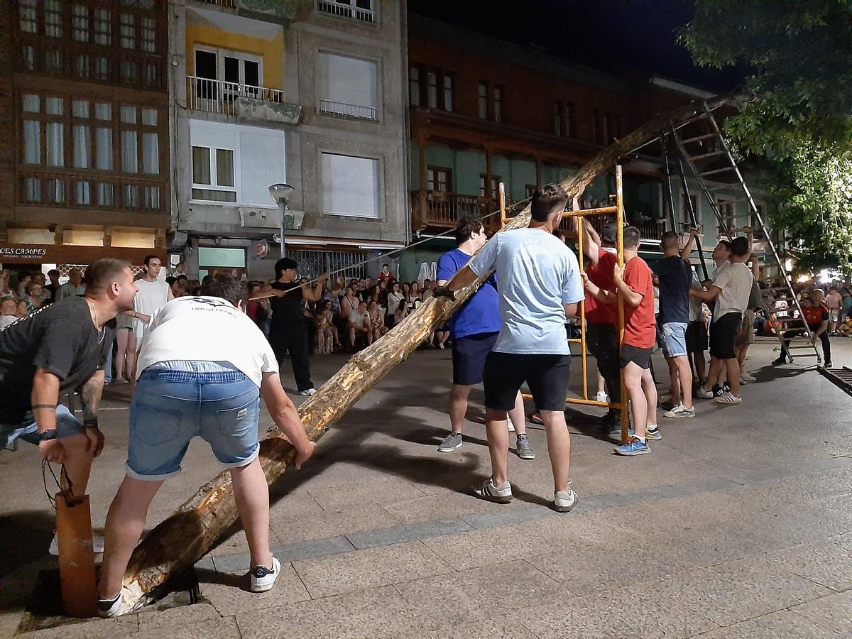 Los solteros plantan el álamo por San Juan en la Pola