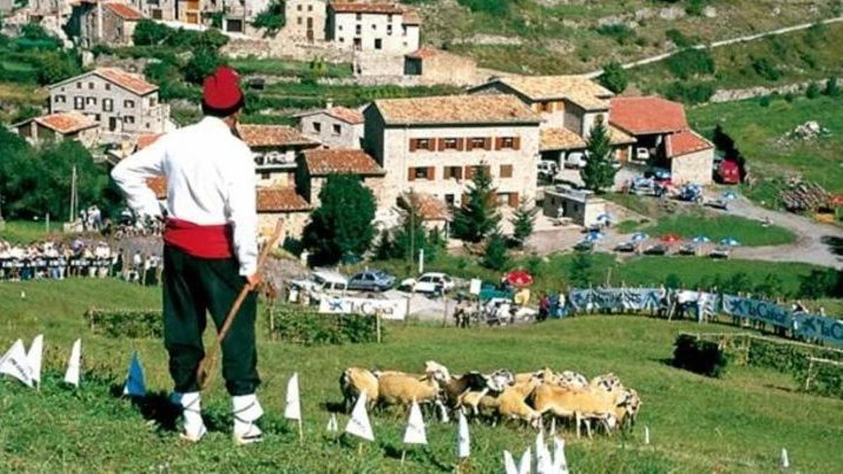 Una edició del Concurs de Gossos d'Atura de Castellar de n'Hug