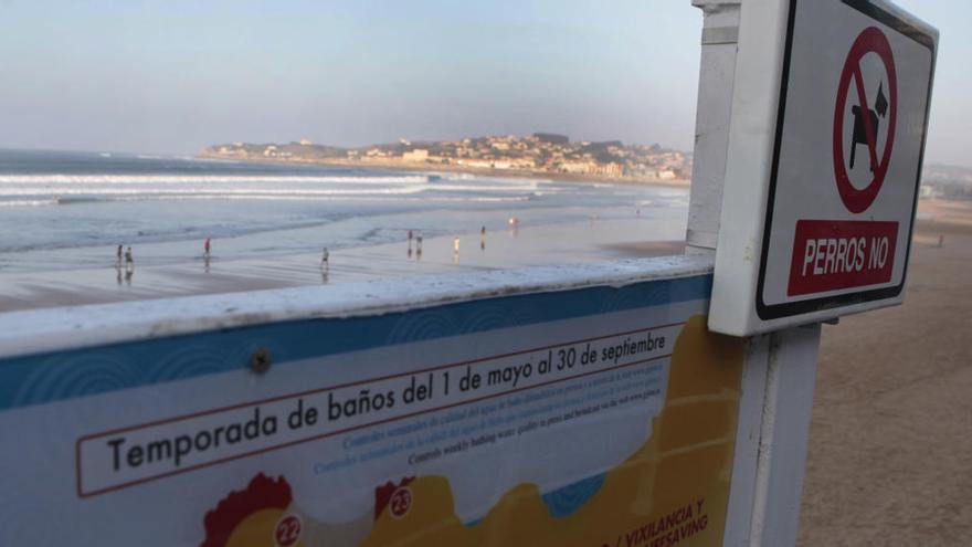 Estas son las playas que permiten perros este verano en Asturias