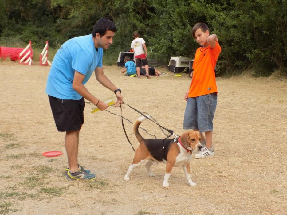 Dog Camp Junior, colònies d'estiu amb gossos al Moianès