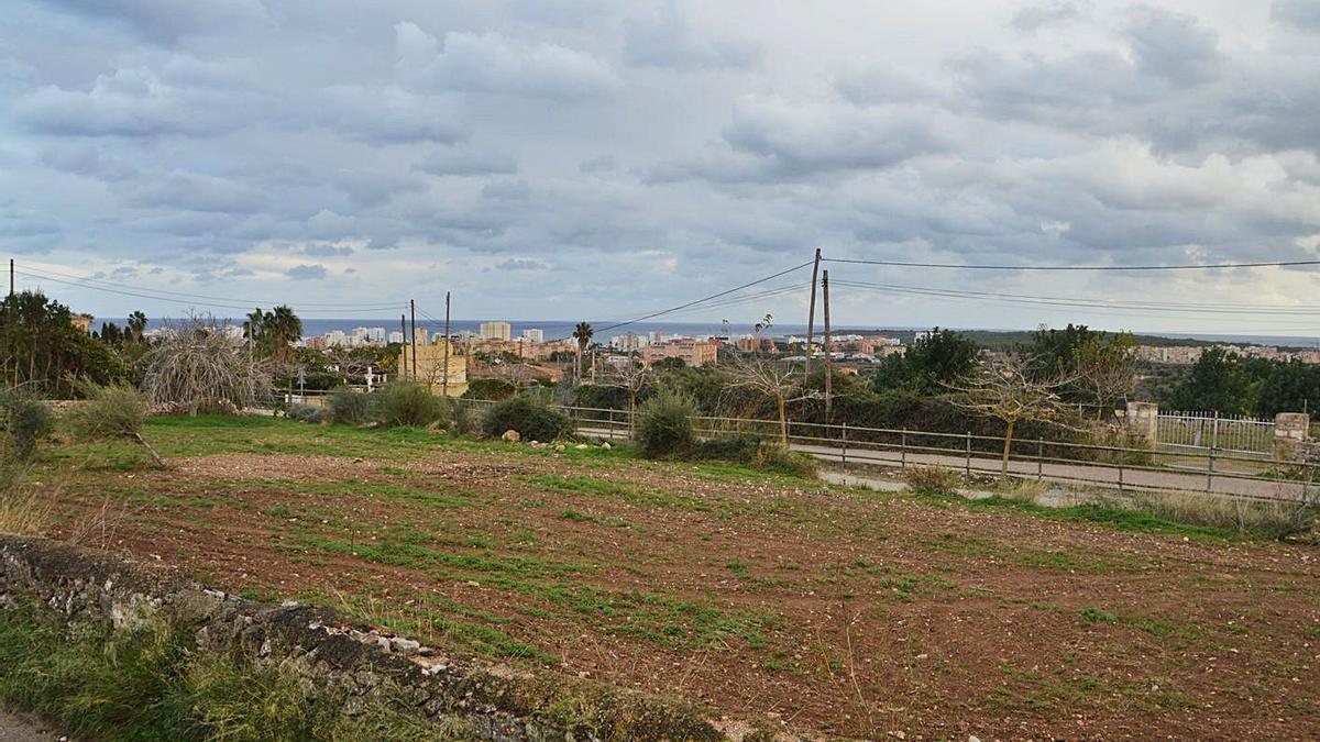 El Llevant apuesta por un tren rápido y sostenible que llegue a las zonas turísticas