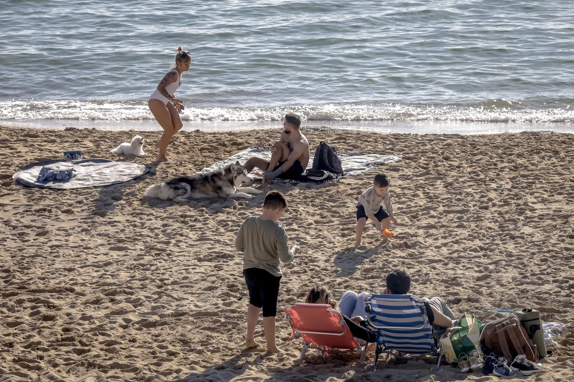 FOTOS | El buen tiempo y las altas temperaturas impropias de enero llenan las playas de Mallorca