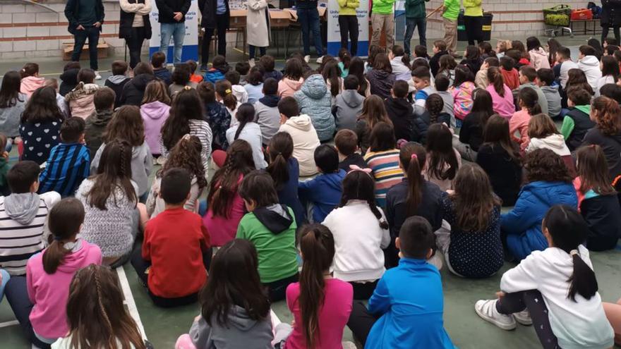 Escolares de Salceda de Caselas.   | // FDV