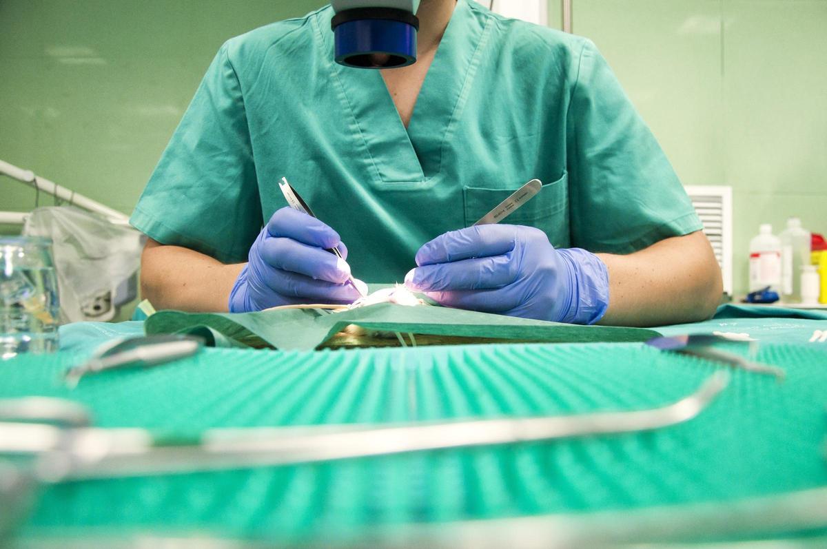 Un médico en quirófano realizando un procedimiento