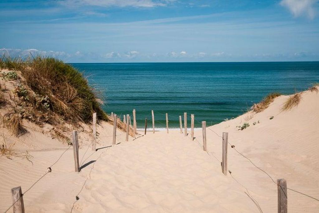 Cap Ferret