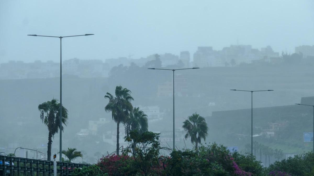 El viento azota con fuerza las palmeras