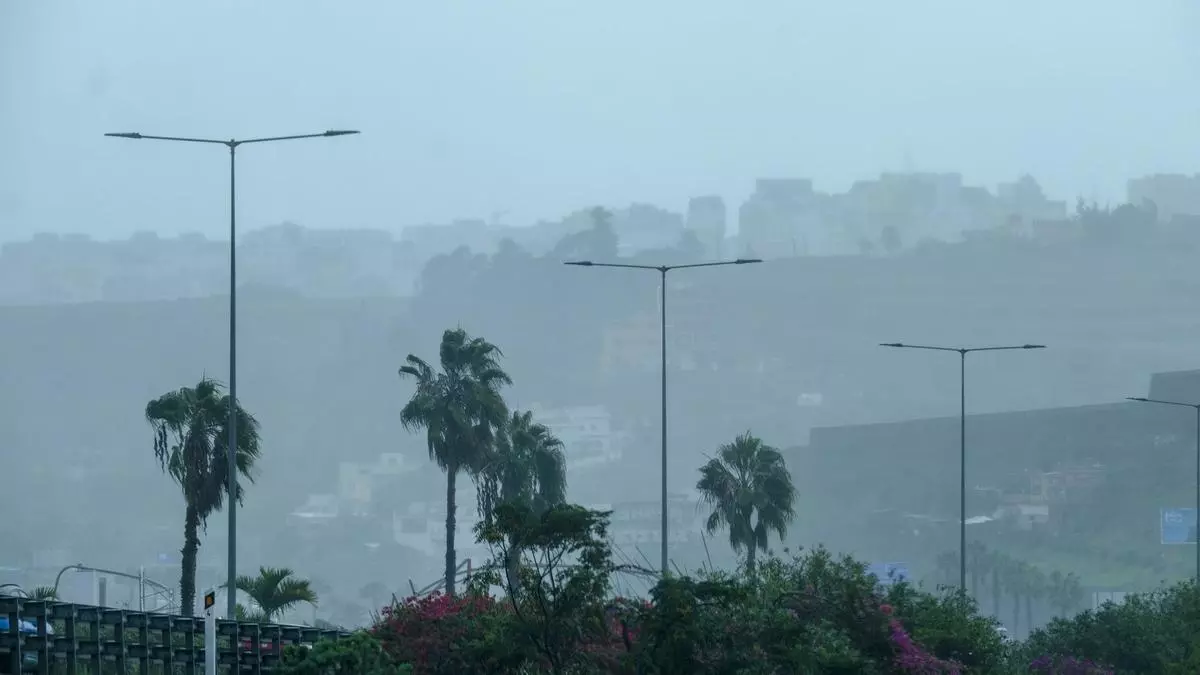 El viento azota con fuerza las palmeras