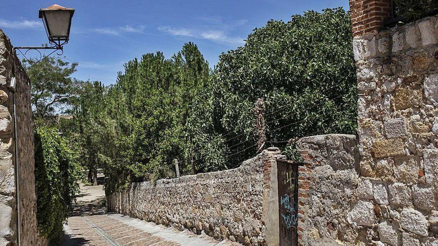 La liberación de la muralla en Zamora continuará a través de una finca de la Cuesta del Mercadillo