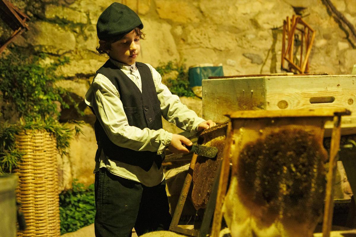 Nit Viva de Fonollosa