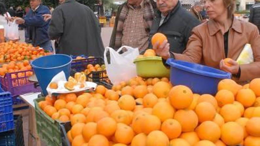 El Mercat de la Taronja prevé vender más de 226.000 kilos de naranja este año