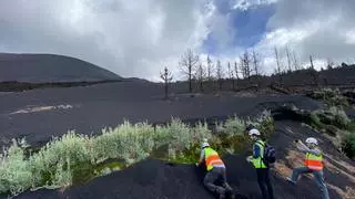 La UMH participa en el estudio de regeneración de los suelos afectados de La Palma por la erupción de 2021