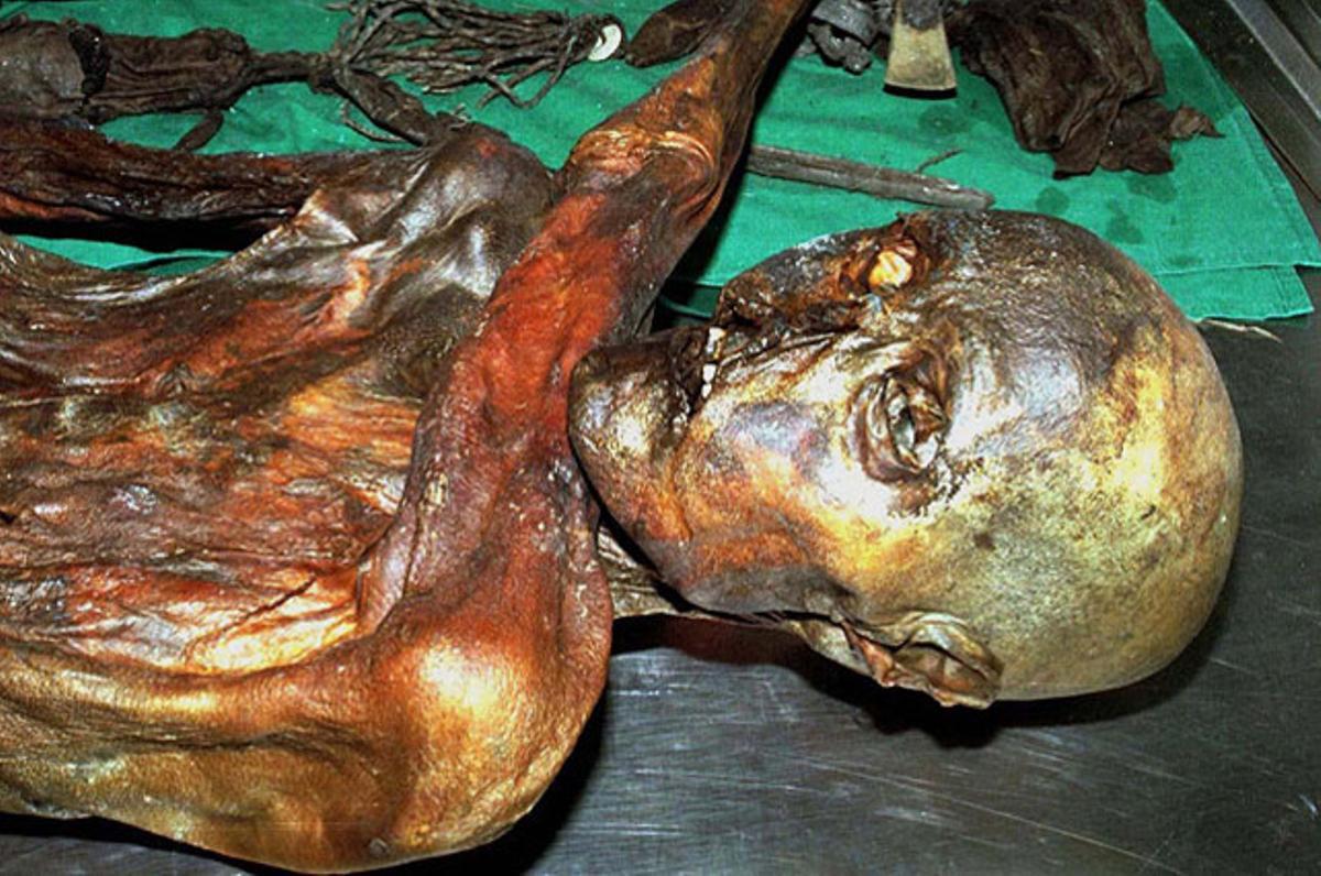 Les restes d’Otzi, un home prehistòric que va viure als Alps italians fa prop de 5.300 anys. Els científics han aconseguit aïllar el que es consideren els rastres de sang humana més antics.