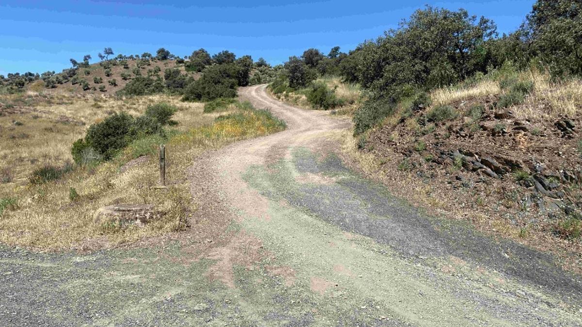 Uno de los caminos rurales objeto de mejoras por parte de la Junta de Andalucía.