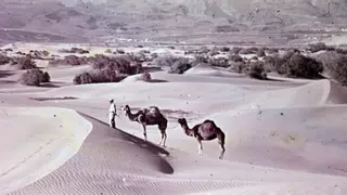 Ni las dunas ni el Gay Pride: Maspalomas tiene un hueco en la historia de la humanidad por esto