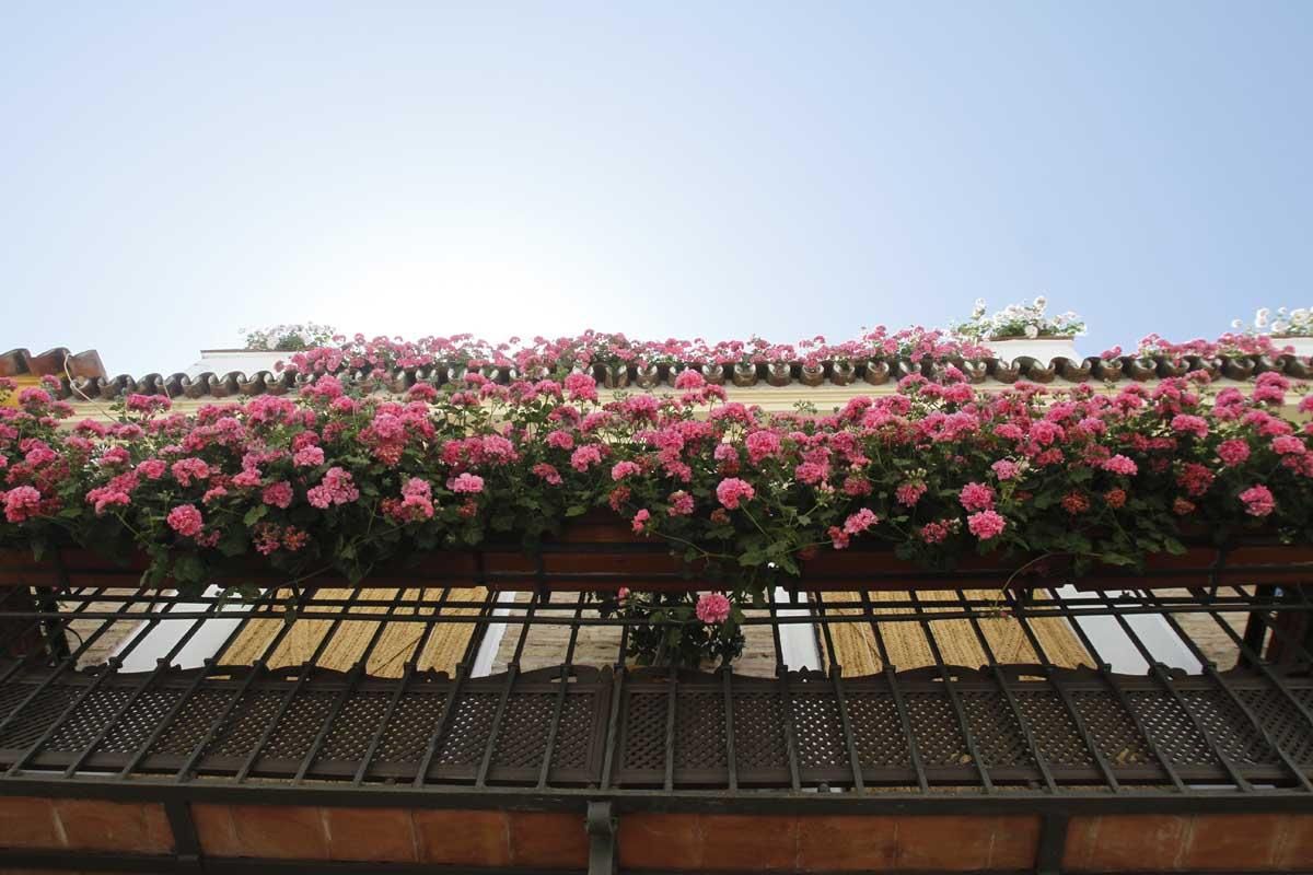 Concurso de Rejas y Balcones en Córdoba