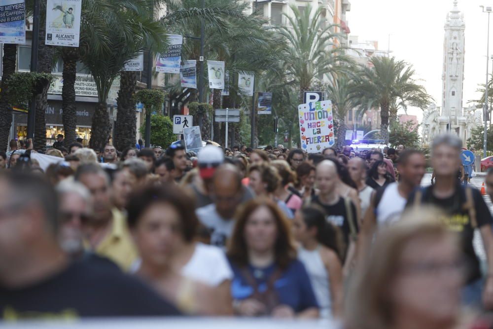 Manifestación tras el maltrato a los gatitos