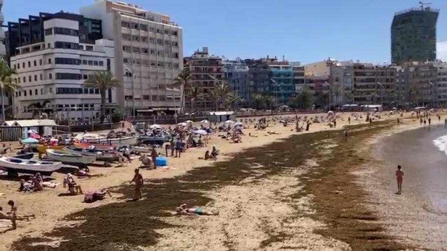 Seba en Las Canteras