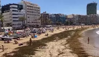 ¿Qué tiempo hará este Jueves Santo en Canarias?