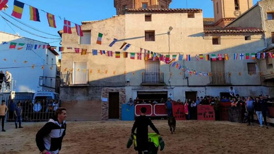 Las vacas volvieron a las calles de Plasencia.  |