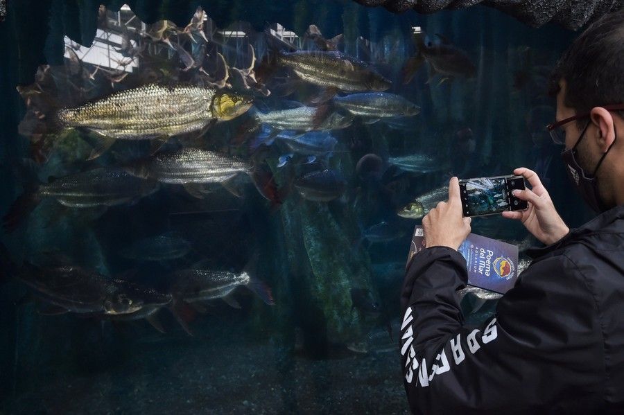 Reapertura del acuario Poema del Mar