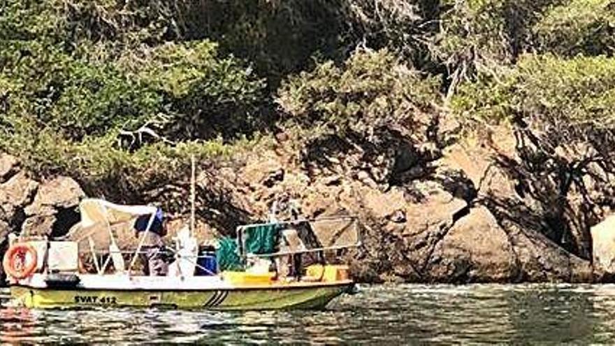 Una lancha de limpieza del litoral, en la costa ibicenca este verano.