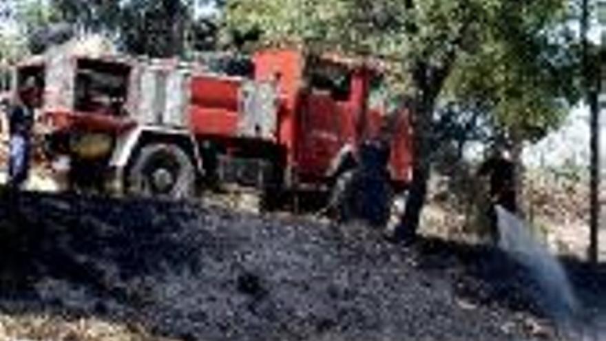 Fuego de pastos en el parque del Príncipe