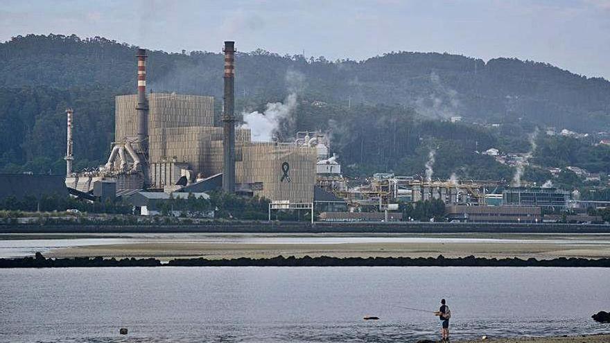 Fábrica de Ence a orillas de la ría de Pontevedra.