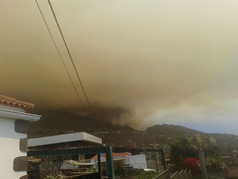 Incendio forestal en la zona de Las Manchas, en La Palma
