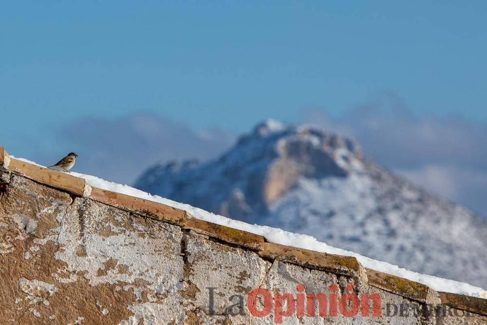 La nieve sigue siendo protagonista en el Noroeste