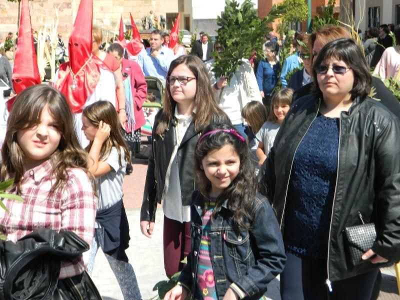 Procesión de Domingo de Ramos en Villaralbo