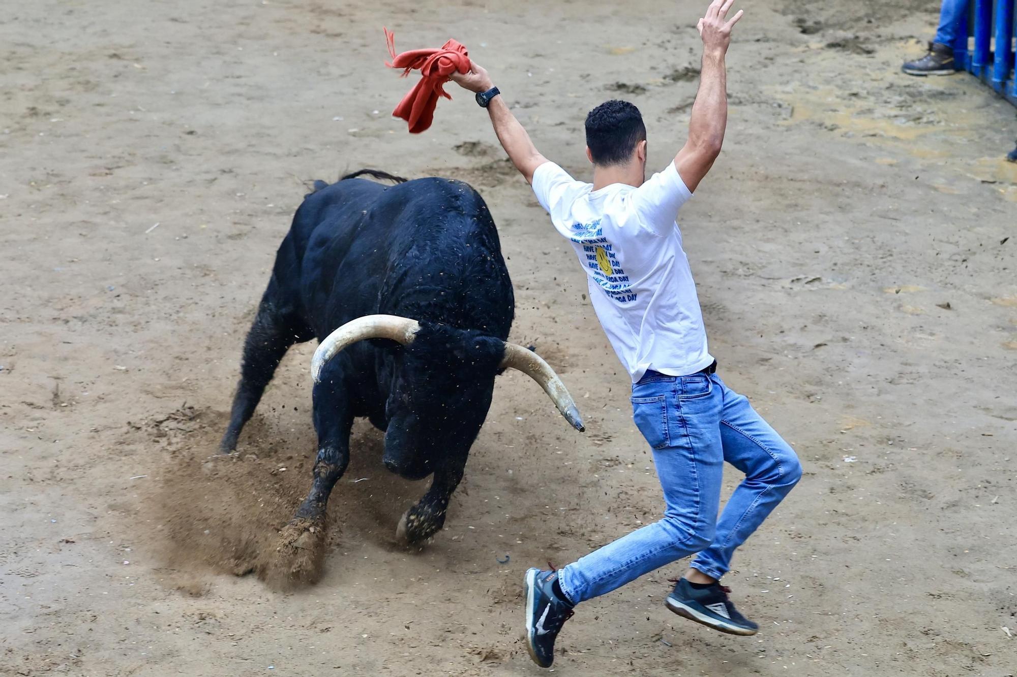 Galería de fotos de la penúltima tarde de toros de las fiestas del Roser en Almassora