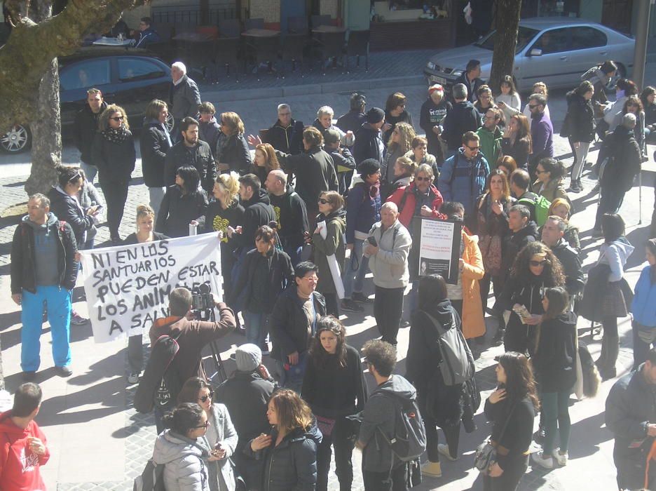 Suport al Santuari Gaia per la mort de l''ovella Nadia