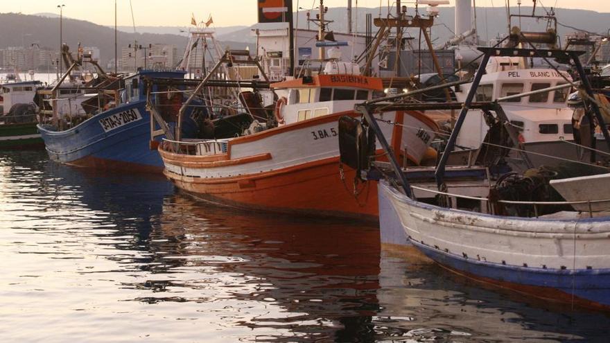 Vaixells pesquers al port de Palamós