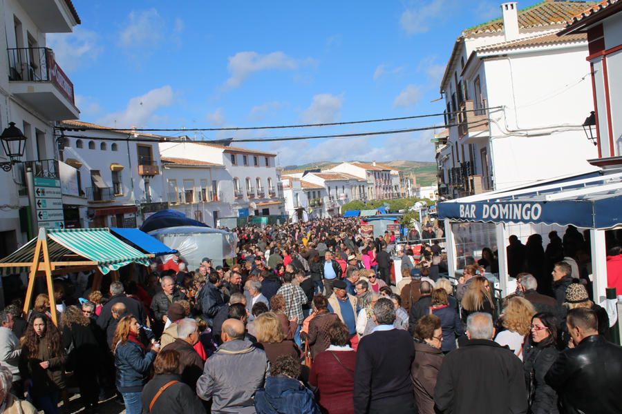 XXI Fiesta de la Matanza de Ardales