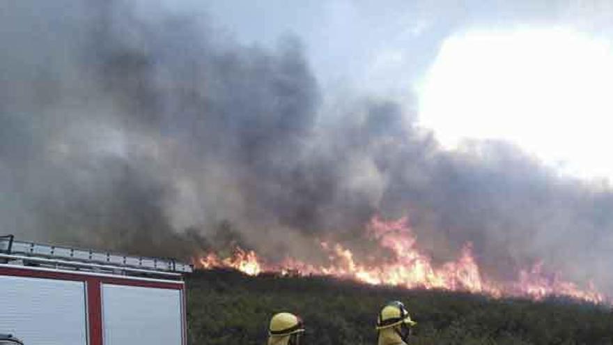 Los servicios de la Junta apagan un fuego en Aliste en 2014.